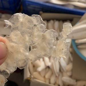 Báscula de pescado de tilapia seca de Vietnam, báscula de pescado de lubina, báscula de pescado Carb a la venta - Product Image 1