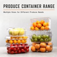 Groothandel 1000C Transparante Ademend Wegwerpbaar Aanpasbaar Scharnierend Clamshell PET Verpakking, 1000g Capaciteit voor Vers Fruit