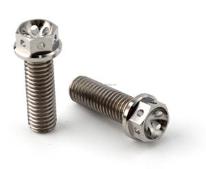 Nhà máy nóng bán <span class=keywords><strong>GR5</strong></span> Titan mặt bích bu lông với lỗ khoan cho đầu máy OEM Titan <span class=keywords><strong>Fastener</strong></span> - Product Image 4