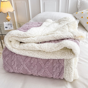 Nouveau brodé moderne tricoté taffetas polaire écologique Double couche épaissi 100% Polyester couleur unie automne hiver - Product Image 1