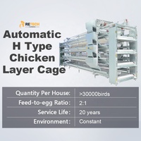Solutions complètes d'élevage avicole : Système de cages automatiques pour poulets de chair et poules pondeuses