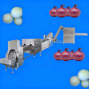 Thép không gỉ thương mại hành tây lột máy, hành tây cắt gốc, Nâng cấp hành tây lột dây chuyền sản xuất - Product Image 1