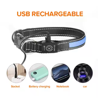 Collier LED rechargeable par USB pour chien, étanche, visibilité 500 m, 12 h de luminescence, sécurité, nylon, pour chiens de petite/moyenne/grande taille
