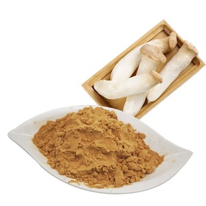 Échantillon gratuit de poudre de champignon trompette royal de qualité alimentaire, extrait de Pleurotus eryngii, polysaccharide, extraction par solvant, emballage en fût - Product Image 1