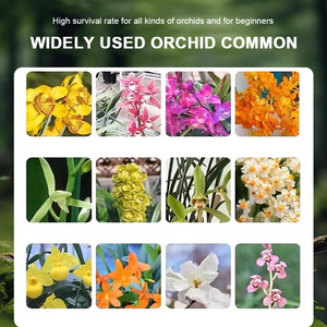Cảnh quan Hữu Cơ mulch đánh bóng lên men Pine Bark phong lan Dendrobium officinale trồng trọt chất nền Mông Cổ vỏ cây chip - Product Image 2