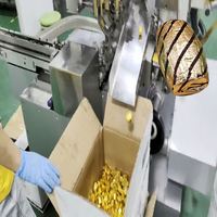Machine d'emballage de chocolat en aluminium de forme spéciale baril de vin, entièrement automatisée, à fonctionnement rapide, avec distribution de colle, sur mesure
