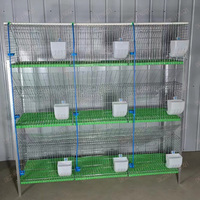 Meilleures ventes Nouvelle cage d'élevage de lapins de type H à 3 niveaux avec une longue durée de vie 2x0.5x1.75m Sol en plastique pour utilisation à la ferme