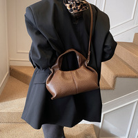 Sac nuage portable de style coréen pour femme, nouvelle collection hiver 2025, texture avancée, sac à bandoulière messager élégant et tendance