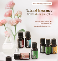Huile Essentielle Végétale Naturelle Multi-Usages OEM, Parfum Lavande Gingembre Arbre à Thé Menthe Romarin Rose, Huile d'Aromathérapie Pure