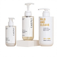 Bouteille pompe en PET givré personnalisée avec logo, 200 ml, 300 ml, 500 ml, pour emballage de savon liquide et de shampoing, vente en gros