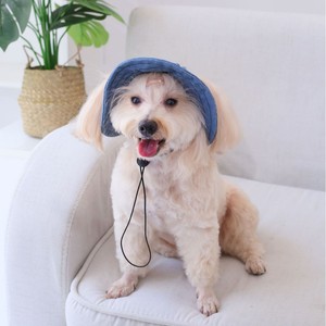 Chapeau d'été pour animaux de compagnie de couleur unie <span class=keywords><strong>Protection</strong></span> solaire Camping en plein air Chapeau respirant réglable doux pour chats chiens - Product Image 3