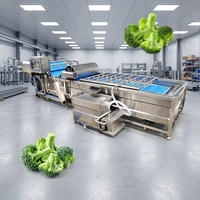 Machine à laver et à peler les pommes de terre, type brosse, pour le lavage et l'épluchage du gingembre, destinée à la transformation des fruits et légumes