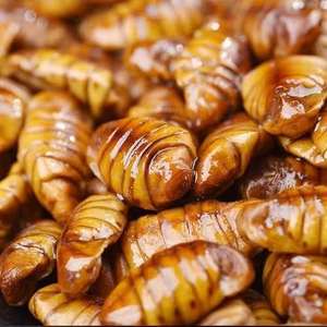 Pupas de gusano de seda vivas recién congeladas sin aditivos: un producto congelado especial hecho de gusanos de seda - Product Image 1