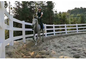 แผงรั้วไวนิลแบบ 3 ราง สำหรับปศุสัตว์ ขนาด 4.5x8 ฟุต ติดตั้งง่าย ขายส่ง - Product Image 6