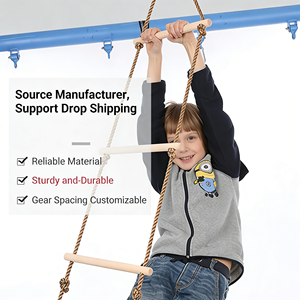 Brinquedos Esportivos ao Ar Livre Escada de Escalada e Balanço para Aulas de Educação Física e Programas de Atividades Escolares - Product Image 5