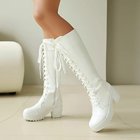 Nouvelles bottes hautes marron 2026 avec fermeture éclair avant, lacets latéraux, talon épais, chaussures décontractées, bottes à tube haut pour un style urbain tendance