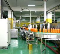 Machine automatique à jus d'ananas Extracteur de jus d'ananas Machine de traitement de jus de fruits Usine de production de pommes et de poires