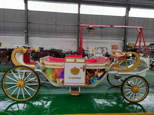 Chariot de mariage royal électrique économique à vendre pour le tourisme et les transports spéciaux - Product Image 5