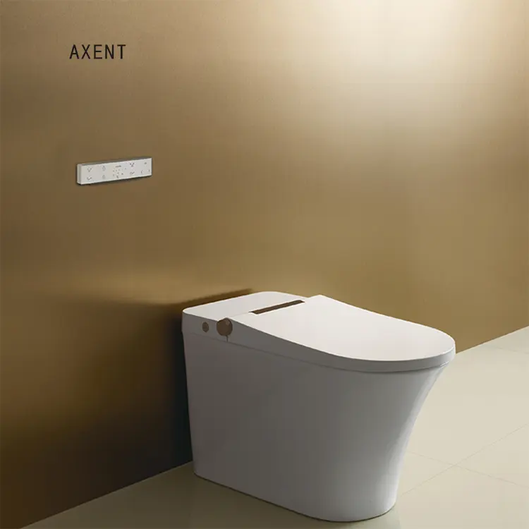 Approvisionnement d'usine Australie standard toilette intelligente équipement