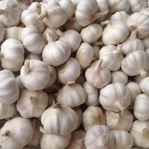 Bon fournisseur d'<span class=keywords><strong>ail</strong></span> frais <span class=keywords><strong>chinois</strong></span> 4-6.0cm 3p prix de gros d'<span class=keywords><strong>ail</strong></span> blanc pur - Product Image 2