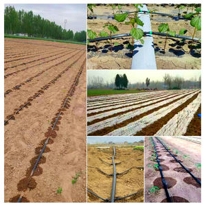 Cinta <span class=keywords><strong>de</strong></span> <span class=keywords><strong>Goteo</strong></span> <span class=keywords><strong>de</strong></span> Plástico <span class=keywords><strong>de</strong></span> 16 mm con Emisor Integrado para Terrenos Agrícolas Interiores, Sistema <span class=keywords><strong>de</strong></span> <span class=keywords><strong>Riego</strong></span> Agrícola para Ahorro <span class=keywords><strong>de</strong></span> Agua - Product Image 5