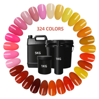Gel coloré en gros HS, sans TPO ni HEMA, grande capacité 1 KG, plusieurs couleurs véganes, fournisseur de vernis à ongles en gel personnalisé