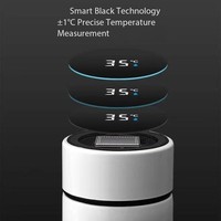 Bouteille d'eau intelligente en acier inoxydable de 500 ml pour l'extérieur, avec rappel thermique intelligent et écran LED, pour les voyages et les tasses