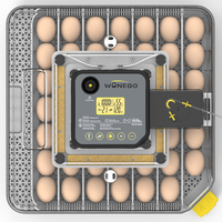 Incubateur automatique Wonegg pour 48 œufs de poule et de caille avec contrôle de la température et de l'humidité, équipement d'élevage à économie d'énergie