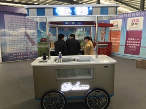 Street Italian Mobile Push Popsicle Showcase Freezers/ Ice Cream Vending Cart for Sale - Product Image 5