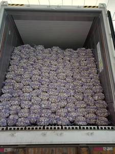 Ajo Blanco Fresco de Primera Calidad, Grado A, Sabor <span class=keywords><strong>Picante</strong></span> Intenso, Alto Rendimiento, Secado al Aire, Jinxiang, Shandong, China, Venta al Por Mayor - Product Image 3