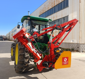 Trinciatrice Laterale Efficiente Montata su Trattore, Portata 5M con Spostamento Idraulico per il Taglio della Vegetazione su Fossi, Sponde e Strade - Product Image 2