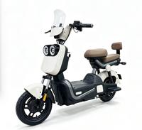 Vélo Électrique Urbain Double Siège 350W 48V de Haute Qualité pour Adultes – Vélo de Commutation Électrique pour 2 Personnes – Offre Spéciale