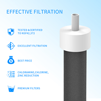 Filtre à bouteille d'eau, remplacement pour BB06, filtre à bouteille rigide, sport et acier inoxydable