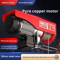Mini palan électrique, petite grue, 220V 110V 0.6KW, modèle 001, grue à câble domestique, levage flexible, micro-palan électrique, gréement