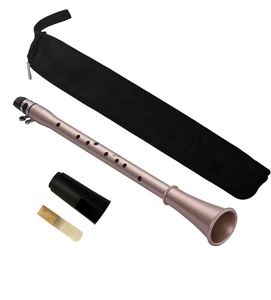 Produttore vendite dirette multi-specifica tasca in plastica clarinetto principiante semplice Mini sassofono - Product Image 4