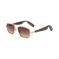 Lunettes de soleil intelligentes TOP Ai, Lunettes de soleil avec traduction en temps réel Ai, Équipées d'un assistant vocal/appel Ai, Étanches IP65, Lunettes Ai
