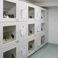 Superbe Tour pour Chat de Luxe avec Cabine en Verre, Ferme en Métal Massif à Fermeture Classique, Cage Panoramique Élégante pour Chat