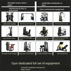 Ensemble complet de machines pour l'entraînement de force : <span class=keywords><strong>presse</strong></span> pectorale et extensions dorsales (haut et bas) – Équipement de gym professionnel - Product Image 4