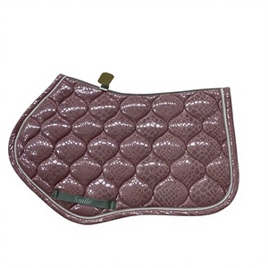 Euro <span class=keywords><strong>Cavall</strong></span> 2025 Signature Jump Signature Coffee Liqueur Colored Horse Training Saddle Pad Cómodo y Duradero para Protección Equina - Product Image 1