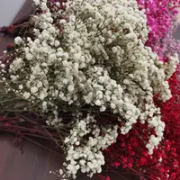 18 couleurs préservées mariage naturel en vrac respiration bébé séchée fleurs Gypsophila bébé souffle