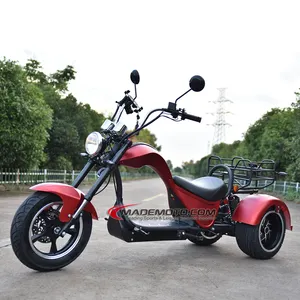 1000w 2000w 60v12ah /20ah 2 이동식 배터리 Citycoco 팻 타이어 3 휠 골프 보드 사이클 보드 전기 스쿠터