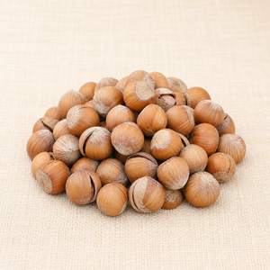 Nocciole del Nord-Est Essiccate Naturalmente, Gherigli Pieni, Sapore Originale, Croccanti, Grado Premium, Snack da 10kg, Fornitura all'Ingrosso - Product Image 2