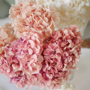 <span class=keywords><strong>Hortensias</strong></span> Naturales Grandes Secas y <span class=keywords><strong>Preservadas</strong></span> a Precio Económico para el Día de San Valentín, <span class=keywords><strong>Hortensias</strong></span> Secas para tu Ocasión Especial - Product Image 6