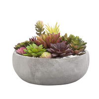 Bol de plante succulente en ciment gris rond minimaliste décoratif