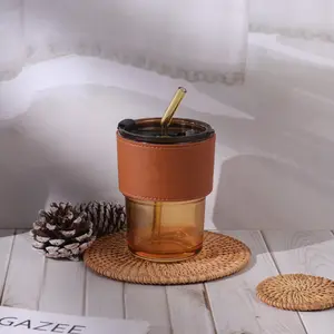 Ins Style 400ML Portable Glass Cup With Straw And Silicone Straw Insanely Stylish Cup