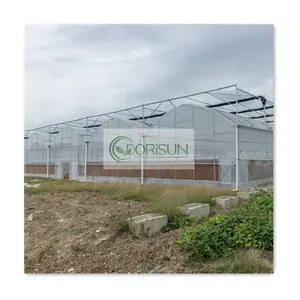 2023新设计低成本番茄植物设备大型金属装饰商业温室7000平方米
