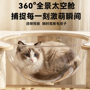Combo de rascador y cama para gatos, duradero, resistente al desgaste, sin pelusas, árbol para gatos con cápsula de sisal, suministros para mascotas para todas las estaciones. - Product Image 4