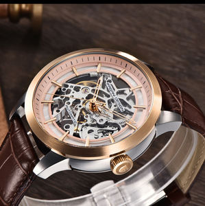 Reloj de Pulsera PAGANI DESIGN 1638 para Hombre, Mecánico Automático, Esqueleto, Caja de Acero Inoxidable, Correa de Cuero Azul, Analógico, de Lujo - Product Image 2