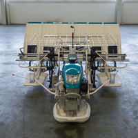 Machine à repiquer le riz automatique Wubota à 6 rangs, semoir et repiqueuse, type marche, repiqueuse à 6 rangs