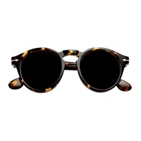 Lunettes d'observation Eclipse avec lentilles G13